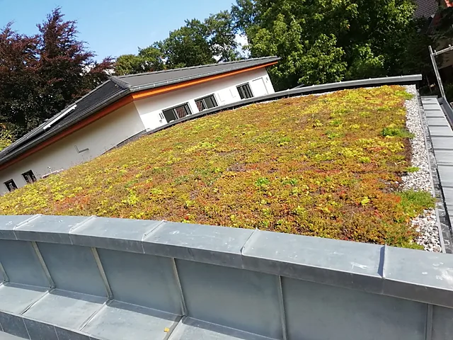 Begrüntes Flachdach
